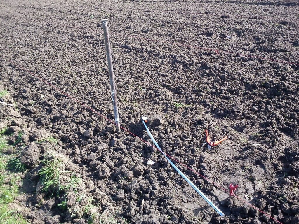 Syrah | 2013 this is our first grapevine planted | TOROSIDIS WINE