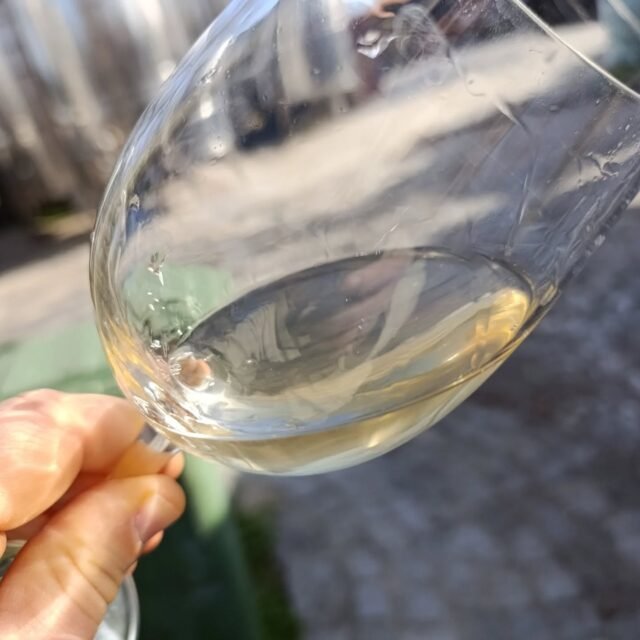 Μαλαγουζιά Βιδιανο Chardonnay 2024 Βιολογικό
Σχεδόν έτοιμο....
.
.
.
#torosidiswine
#malagouzia
#vidiano
#organicvineyard
#organicviticulture
#organiwine
#whitewines
#winesofgreece
#greekwinemakers
#greekwines
#xanthi
#thrace