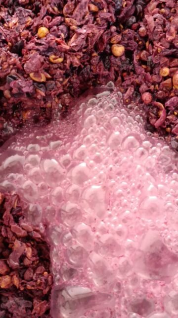 Different bubbles same purpose
Enhance Wine Quality#torosidiswine #organicviticulture
#organicvineyard #greekwinemakers #organicwines #greekwines #xanthi #thrace