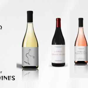 exada @torosidiswine