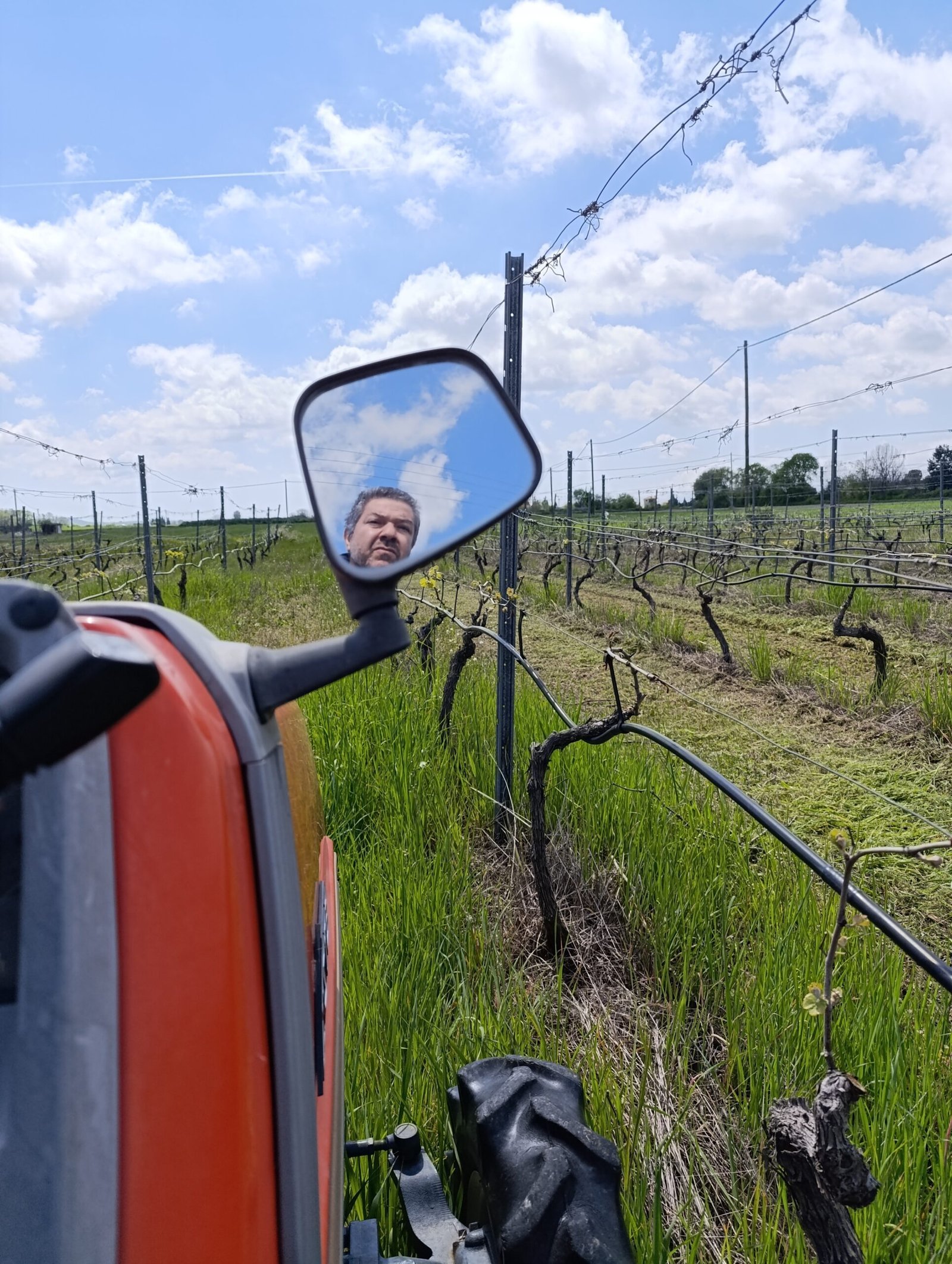 Torosidis N. Stathis | Vineyard work 2025 | Organic Vineyard | TOROSIDIS WINE